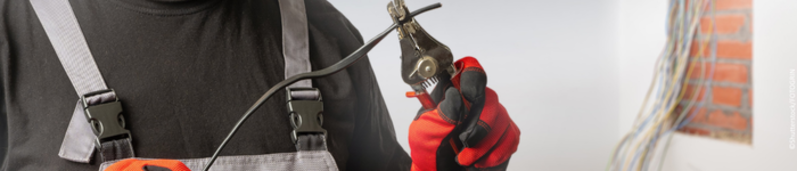 ©Shutterstock/FOTOGRIN